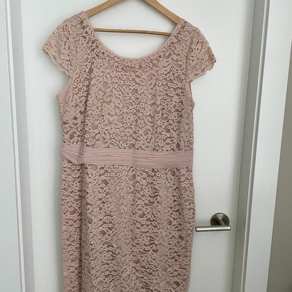 Jacques Vert Dresses & Skirts - Jacques Vert Blush Lace Dress Size 16